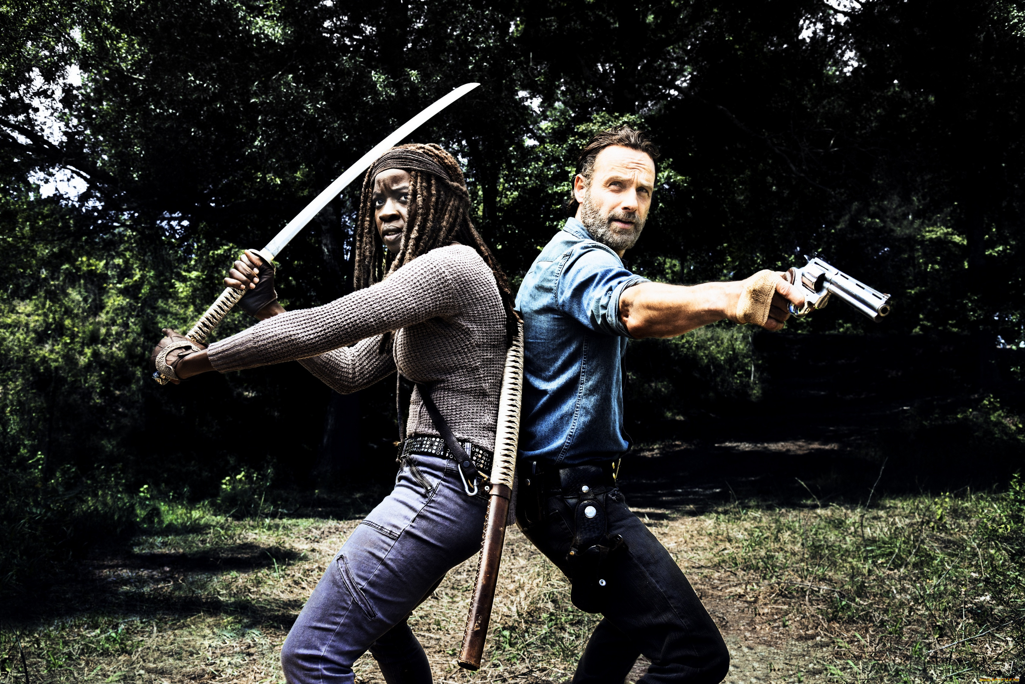  , the walking dead, action, , , , the, walking, dead